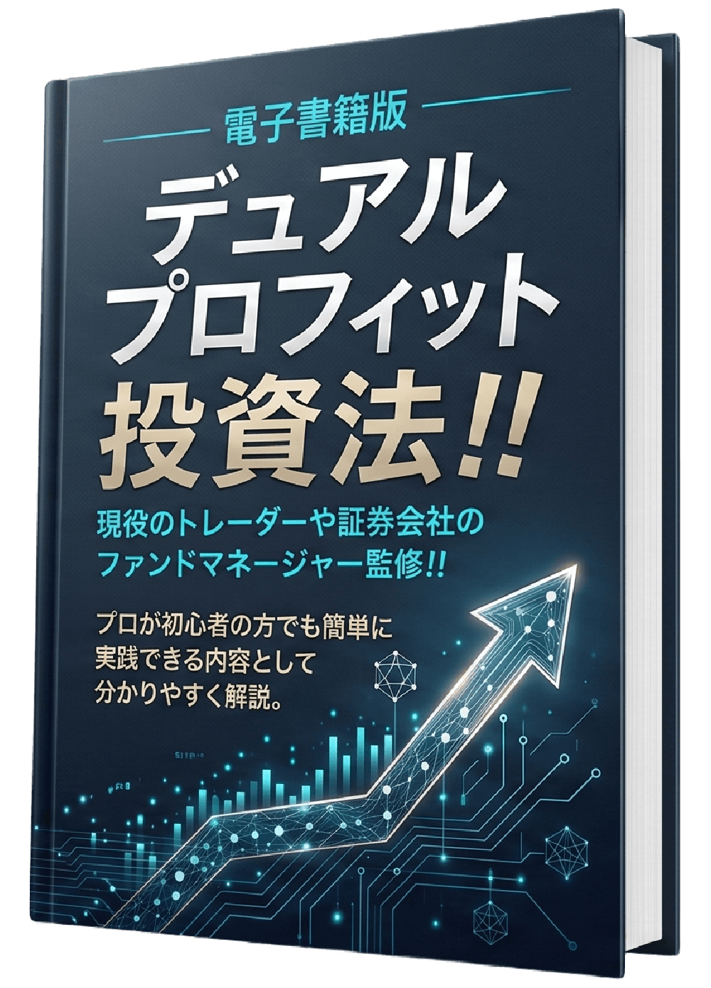 電子書籍 デュアルプロフィット投資法の3Dモックアップ
